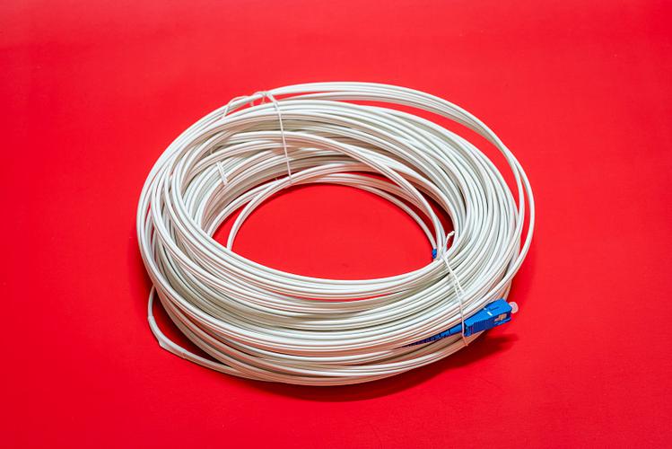 網(wǎng)絡電纜與光纖電纜 連接世界的光與電